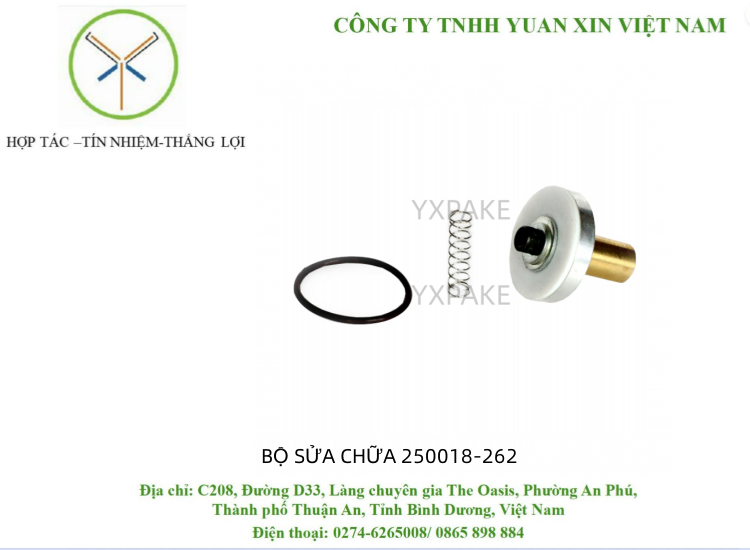 BỘ SỬA CHỮA SULLAIR 250018-262