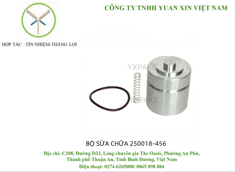 BỘ SỬA CHỮA SULLAIR 250019-456